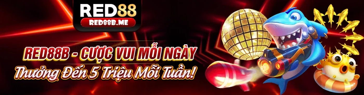 Hướng Dẫn Người Mới nn888 link mới 2026: Trải Nghiệm Cá Cược An Toàn & Hấp Dẫn